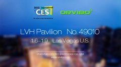 ���|�RCES 2015�A(y��)�y�����ܼҾӌ�������