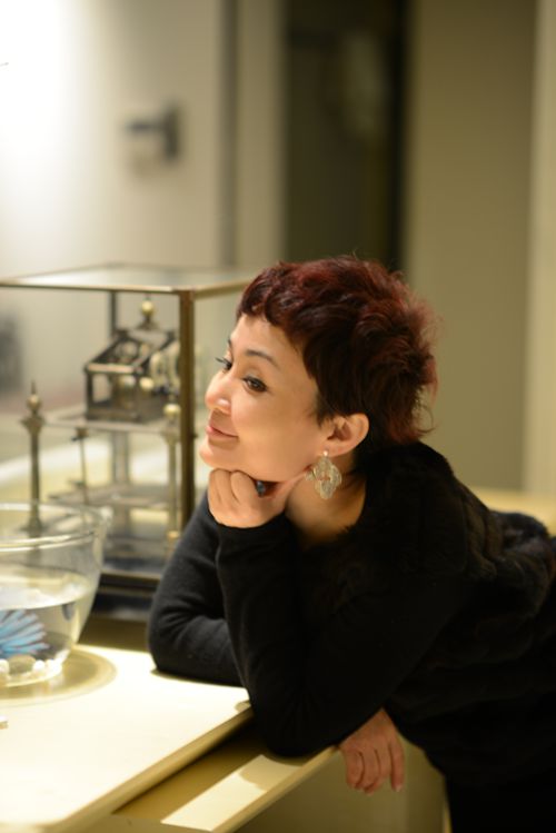 2015���ڇ��H���չ���}��O(sh��)�� ����  �����ġ����