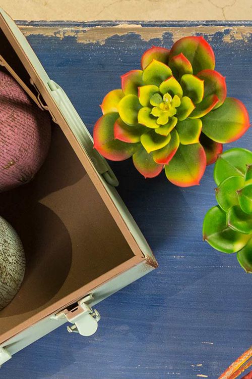 2015���ڇ��H���չ���}��O(sh��)�� ����  �����ġ����