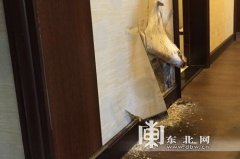 �x���|�R�Ҿ�ܛ�b�LĢ���@�ӵ��¾Ͳ����l(f��)��