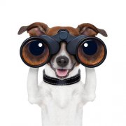 ���|�R5�и��V�����x�Ҿ��Ʒ �����