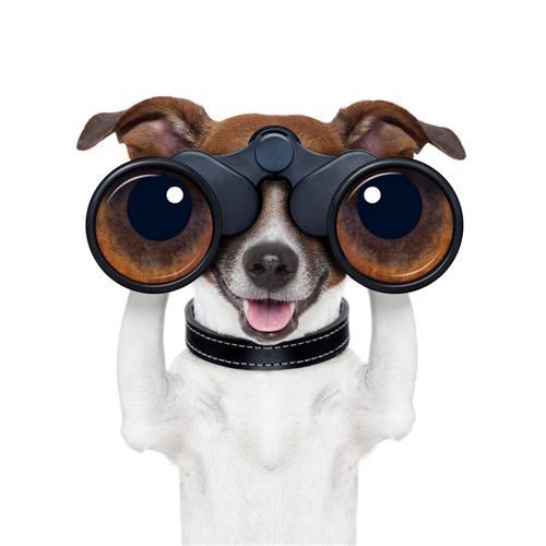 5�����x�Ҿ��Ʒ