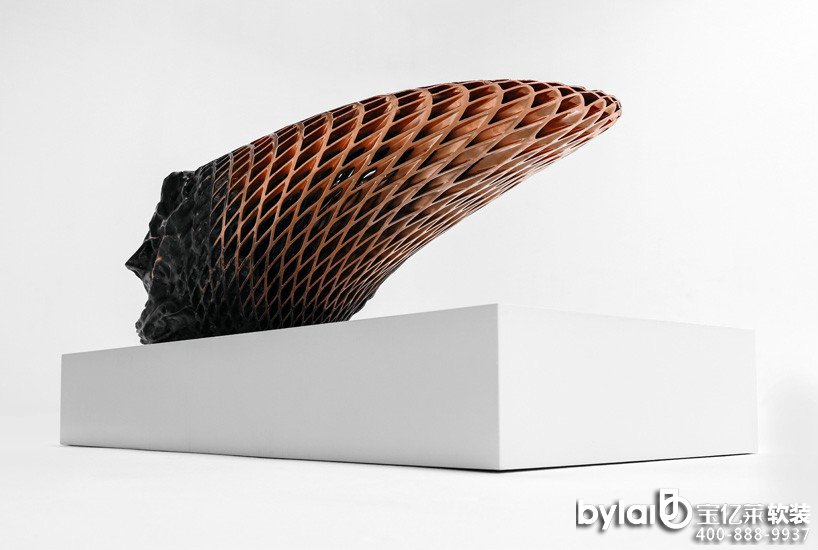 ˇ�g(sh��)��3D��ӡ���پW(w��ng)��Y(ji��)��(g��u)�ĵ��ܼҾ�