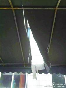 �Ϻ���60�������w�C(j��)���������� �������S�S��(�D)