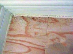 ���|�R���wܛ�b����ס�·���l(f��)�F(xi��n)С���x ���������xԴ���Եذ�