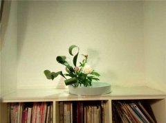 �V����õ��b�˾���|�R90��������������û�ˇ�c�Y��������