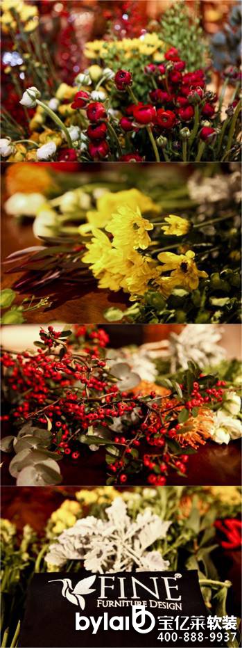 �V����õ��b�˾���|�R��Ҋ2016���� FINE���ƼҾ�ˇ�g(sh��)��ˇɳ��