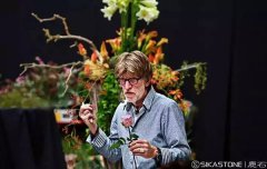 ¹ʯȫ�o�|�P(gu��n)�������F(xi��n)����ˇ�w��n��5���w��c