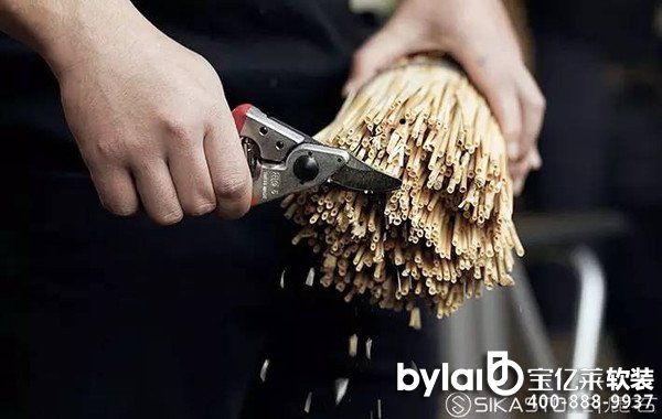 ¹ʯȫ�o�|�P�������F(xi��n)����ˇ�w��n��5���w��c