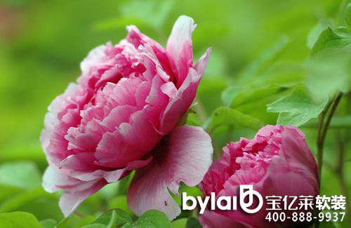 
�L�dܛ�b�O(sh��)Ӌ(j��)��˾С�������ҁy�쮋�ߔ��\(y��n)