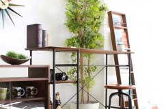 
����ܛ�b�O(sh��)Ӌ(j��)��˾�]��ȥ�ď�(f��)����Y(ji��) ʮ�������f�Fˇ�Ҿ�