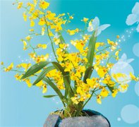 
�ܛ�b�O(sh��)Ӌ(j��)��˾��ۻ�չ�������m������ ��ˇ��Ʒ�@�G���D��