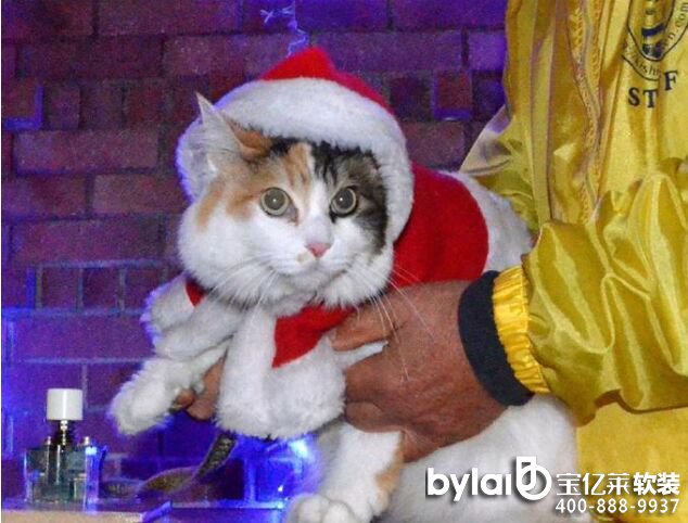 
��ɽܛ�b�O(sh��)Ӌ(j��)��˾�ձ���؈վ�L�����H�֡��c(di��n)��ʥ�Q���