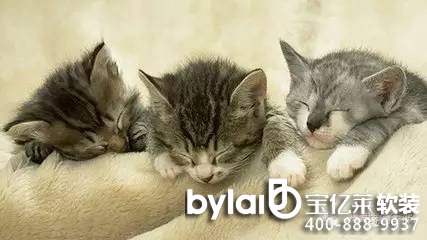 
ͩ�l(xi��ng)ܛ�b�O(sh��)Ӌ(j��)��˾�F���첻���_�T���������p���s�߼���6�N��ζ��