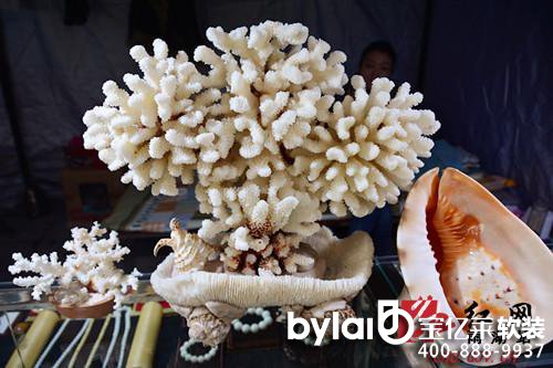 
���dܛ�b�O(sh��)Ӌ��˾��̶�׌���ʯ�����մɲ��[���_Ļ 3�f�����Ʒ��չ