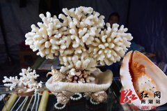 
���dܛ�b�O(sh��)Ӌ(j��)��˾��̶�׌���ʯ�����մɲ��[��(hu��)�_Ļ 3�f�����Ʒ��չ