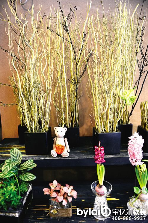 
۴��ܛ�b�O(sh��)Ӌ��˾һ֦���Ј��r��ʮ���K�X ��ˇ���{ʲô�u���װ�Ԫ��