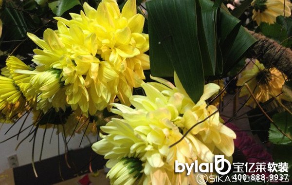 ���|�R3d���O(sh��)Ӌ(j��)�����H��ˇ��(j��ng)�䰸����5000֧���bǱ���������