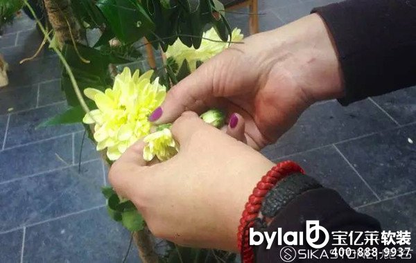 ���|�R3d���O(sh��)Ӌ(j��)�����H��ˇ��(j��ng)�䰸����5000֧���bǱ���������