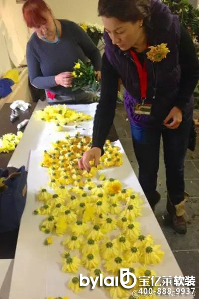 ���|�R3d���O(sh��)Ӌ(j��)�����H��ˇ��(j��ng)�䰸����5000֧���bǱ���������