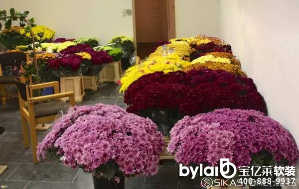 ���|�R3d���O(sh��)Ӌ(j��)�����H��ˇ��(j��ng)�䰸����5000֧���bǱ���������