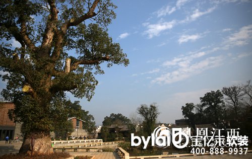 ����ӛ��̽�L���ݸG �|��ǧ���մ��Ļ�