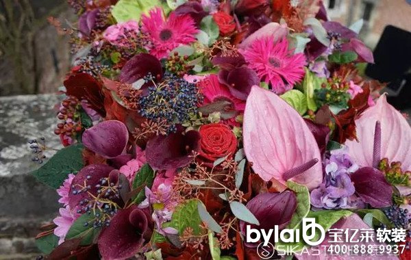 ���ղ��N��2015���䡰���ͻ�ˇ�b�á�����ȫ�̽�¶