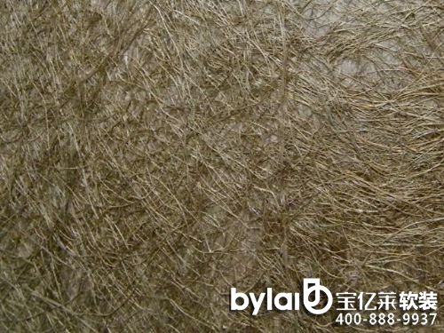 �ݾ��ڼ���ʲô�����Æ���