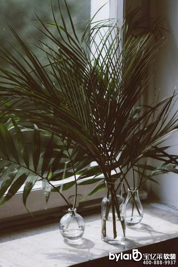 ���|�Rܛ�b����̳ǣ��Ų��wĽ��ˇ�� ���������@Щ������ʲô����