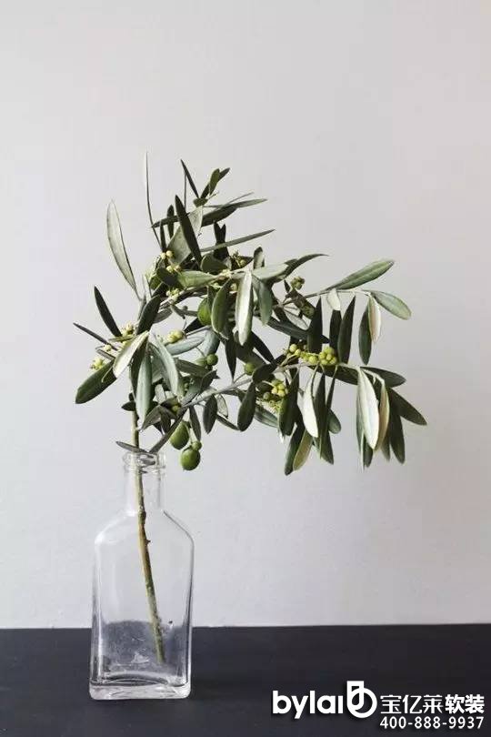 ���|�Rܛ�b����̳ǣ��Ų��wĽ��ˇ�� ���������@Щ������ʲô����