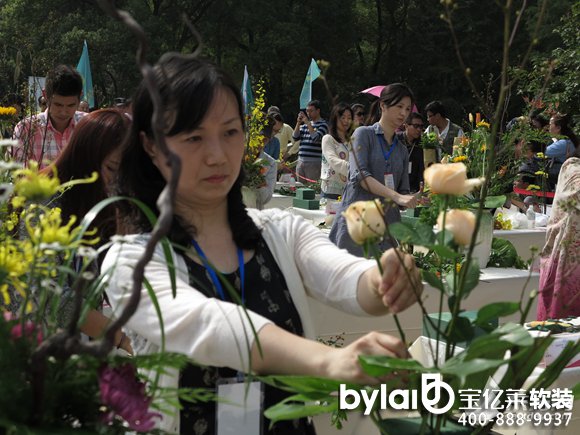 ���|�Rܛ�b����̳ǣ�2015����廨��ˇ���Qِ 60��λ�x���Ϻ�ֲ��@��(n��i)����