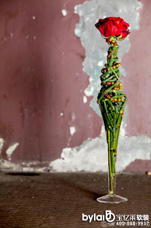 ���|�Rܛ�b����̳ǣ��Ї�(gu��)��ˇ�ИI(y��)��Ҫ�����ļ���