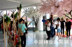 ���|�Rܛ�b����̳ǣ���ˇ��Ӗ��l(f��)չ ����ܛ�b��Ȼ�d��