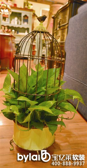 ���|�Rܛ�b����̳ǣ����e��I�����ͥԺ