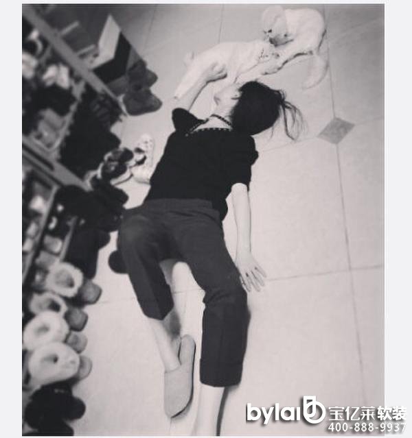 �����ɵذ����c��؈��ӰЬ�ӳ����c���D��