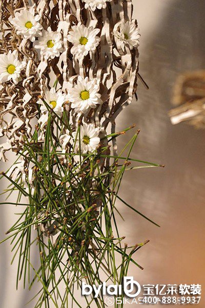 ���|�Rܛ�b����̳ǣ���(gu��)�H��ˇ�O(sh��)Ӌ(j��)��(j��ng)����Ʒ������������Jan Aartsen