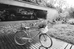 ���wܛ�b���|�R���������y������Ϫ�� ����ħ�û�ˇչ�_(k��i)Ļ��