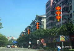 ���������ζ������ɽ��ɫ�P(gu��n)��ס�����o(j��)��������~