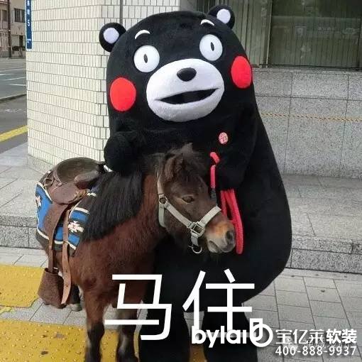 ���������ζ������ɽ��ɫ�P(gu��n)��ס�����o��������~