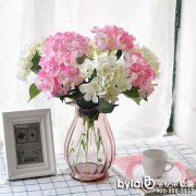 ���|�R��ˇܛ�b����ǘӰ巿ܛ�b�O(sh��)Ӌ(j��)���c(di��n)֮һ