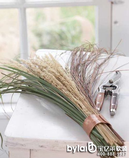 �Ҿӻ�� Ұ��Ҳ��׃�탞(y��u)�ż��