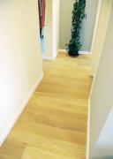 ԭľɫ�ذ� ���ܼҵ���Ȼ���|(zh��)