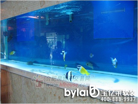 �ϷʼҾ� �ŵ����P��