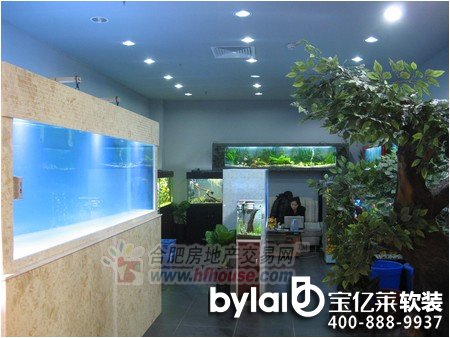 �ϷʼҾ� �ŵ����P��