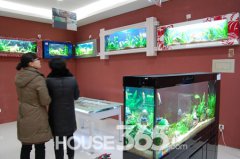 ���|�R�ŵؼt�����P����Ʒܛ�b�^�����c(di��n)ˮ��ĺ�������