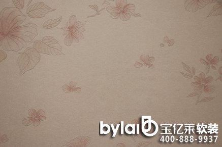 ���|�RС��̽�꣺����ܛ�b ���n��ļ�