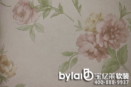 ���|�RС��̽�꣺����ܛ�b ���n��ļ�