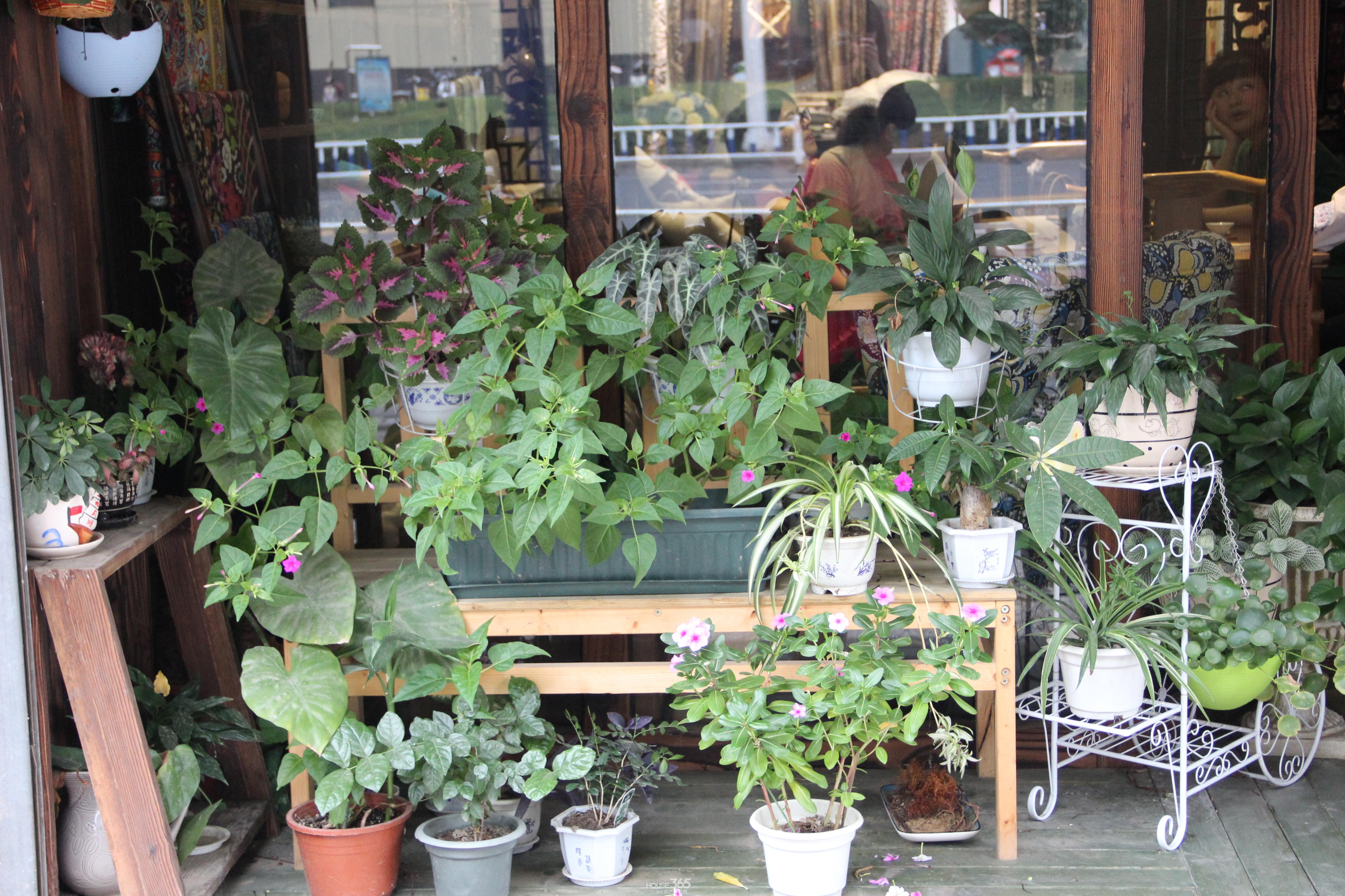 ���|�RС����꣺��һ��������҃�(n��i)�r�⡪���W���_ܛ�b