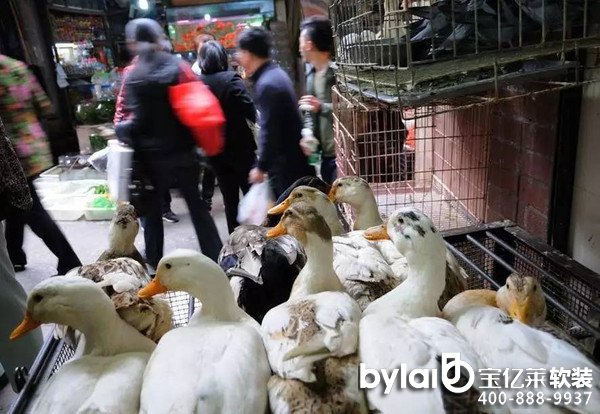 ���|�R��ȫ��������һ���ؑcŮ������һ��r�g���Y���ؑc�����փ���ֻ�l(f��)�@һ����