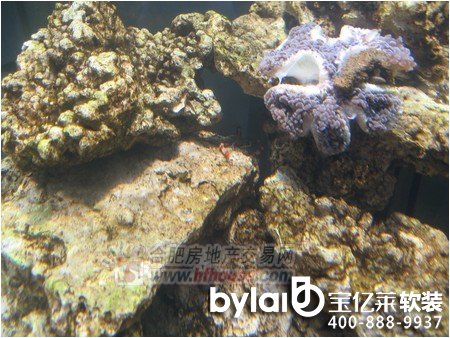 �ϷʼҾ� �ŵ�&middot;�t�����P�� ܛ�b�^